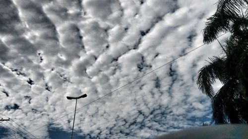 Low angle view of birds flying against sky