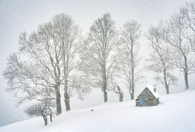 winter