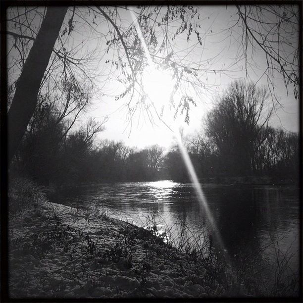 water, transfer print, tree, tranquility, tranquil scene, auto post production filter, scenics, lake, bare tree, beauty in nature, nature, branch, river, reflection, sun, clear sky, sunlight, sky, non-urban scene, forest