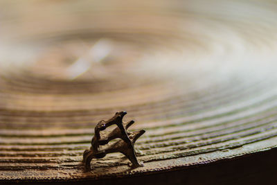 Close-up of rusty metal