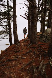 Man standing on rock