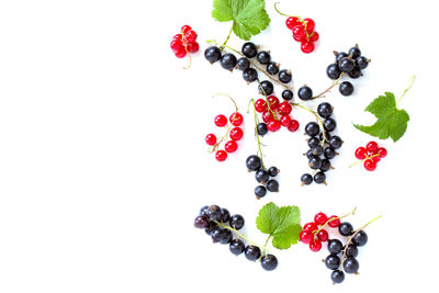 High angle view of berries against white background