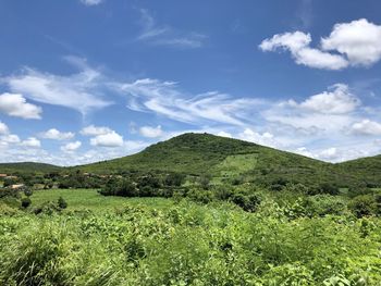 Scenic view of landscape against sky