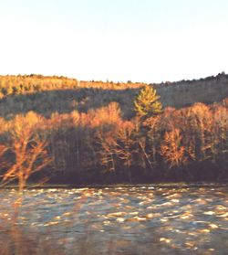 Scenic view of landscape