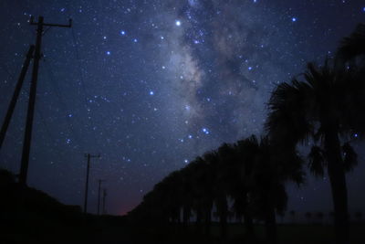 Low angle view of silhouette trees against sky at night