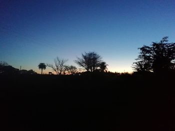 Silhouette trees on landscape against clear sky at sunset
