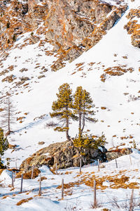 Snow covered landscape