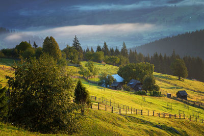 Scenic view of field against sky