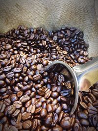 Close-up of serving scoop in roasted coffee beans