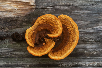 Directly above shot of mushrooms on wooden table