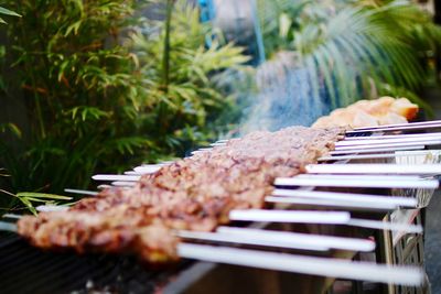 Close-up of meat on barbecue grill