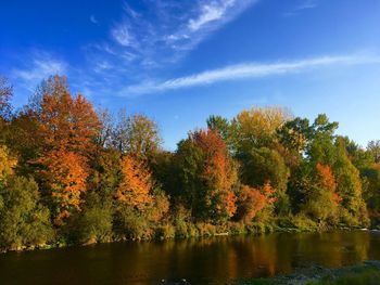 Trees by lake against sky during autumn