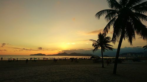 Silhouette palm trees on beach against sky during sunset