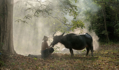 Man with bull in forest