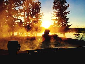 Sun shining through trees