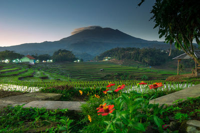 Scenic view of field and mountains against sky