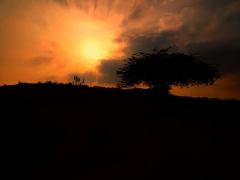 Silhouette trees on landscape against sky during sunset