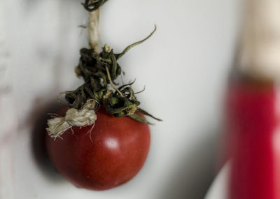 Close-up of tomatoes