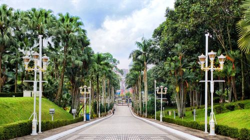 Road amidst trees against sky in city