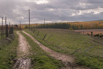 Road amidst agricultural field against sky