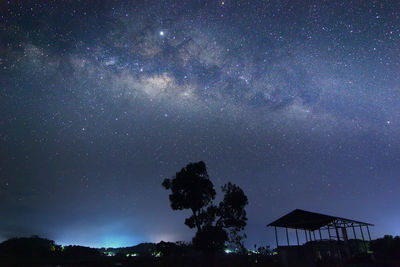 Low angle view of trees against sky at night