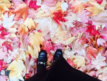 Low section of woman standing on autumn leaves