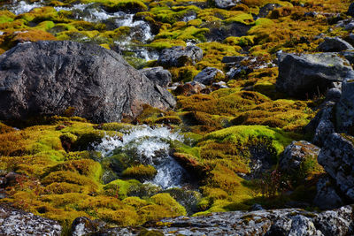 Scenic view of stream flowing through rocks