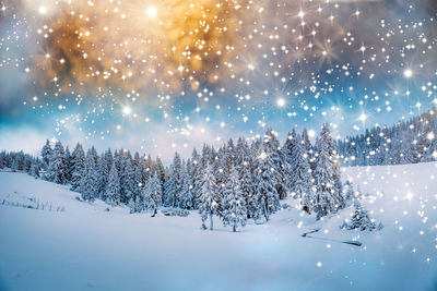 Trees on snow covered land against sky