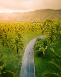 Scenic view of road amidst trees against sky