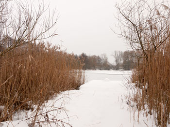 Scenic view of frozen lake against clear sky