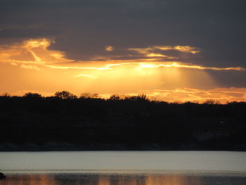 Silhouette trees against sky during sunset