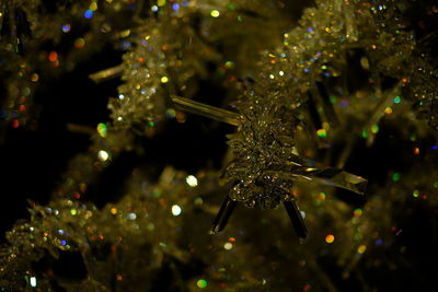 Close-up of illuminated christmas tree