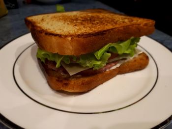 Close-up of sandwich on plate
