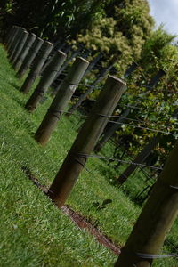 Wooden fence on grassy field