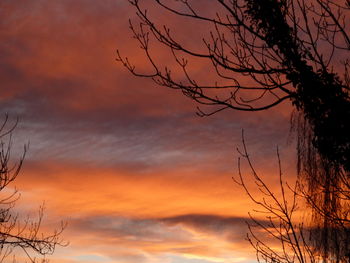 Low angle view of silhouette bare tree against dramatic sky