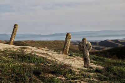 Rear view of woman standing on field against sky