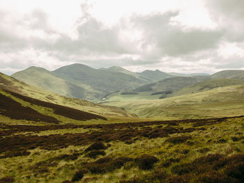 Rolling hills in scottish countryside