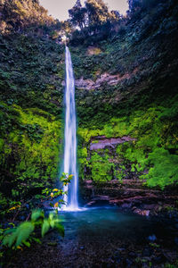 Waterfall in forest