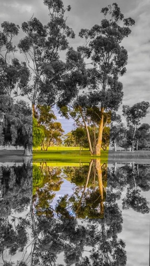 tree, water, tranquility, sky, tranquil scene, nature, reflection, beauty in nature, lake, scenics, growth, pond, river, cloud - sky, season, day, outdoors, no people, idyllic, cold temperature