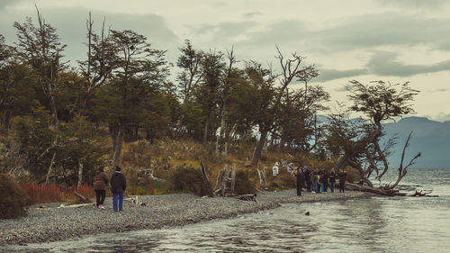 People walking by trees against sky