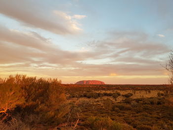 Scenic view of field against sky during sunset