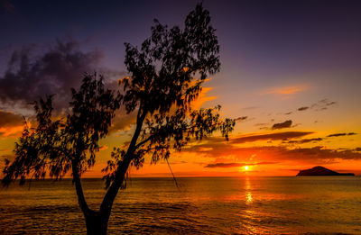 Scenic view of sea at sunset