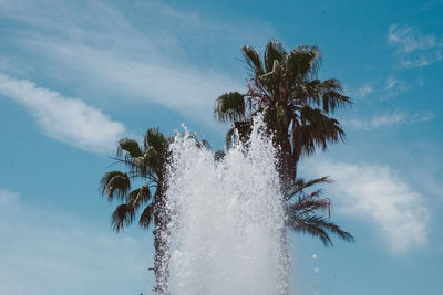 Low angle view of fountain by palm trees against sky