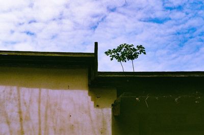 Low angle view of house against sky