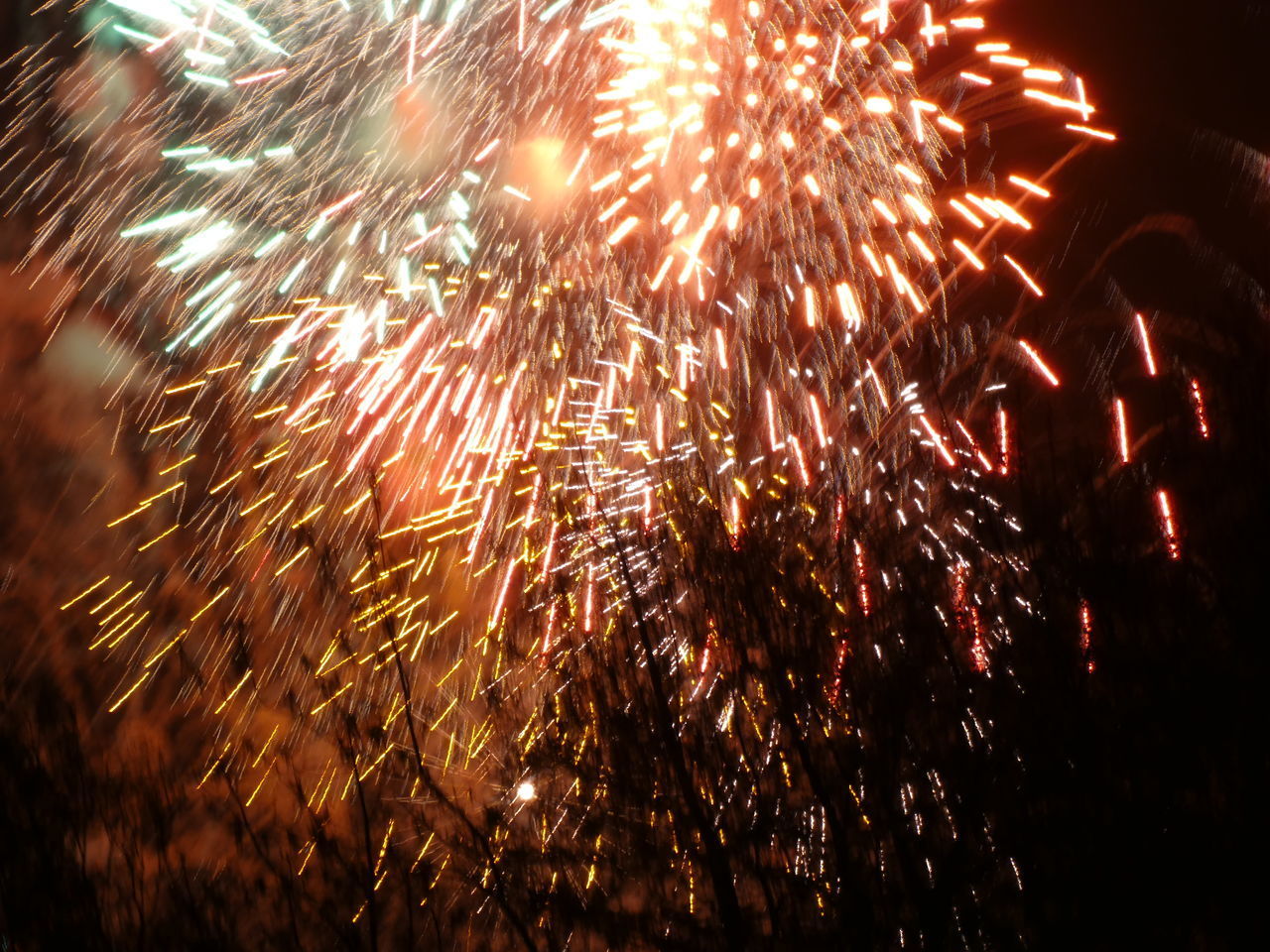 FIREWORK DISPLAY AT NIGHT