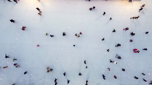 High angle view of crowd on white background