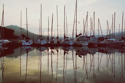 Boats moored at harbor
