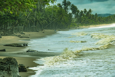 Scenic view of sea against trees