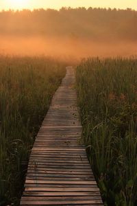 View of footpath in field