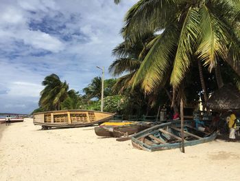 Palm trees on beach against sky